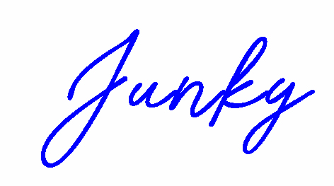 Junky Word Digital Design File