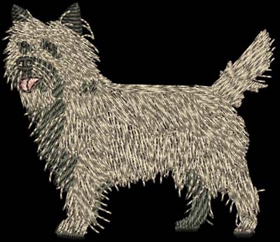 Cairn Terrier Dog Digital File